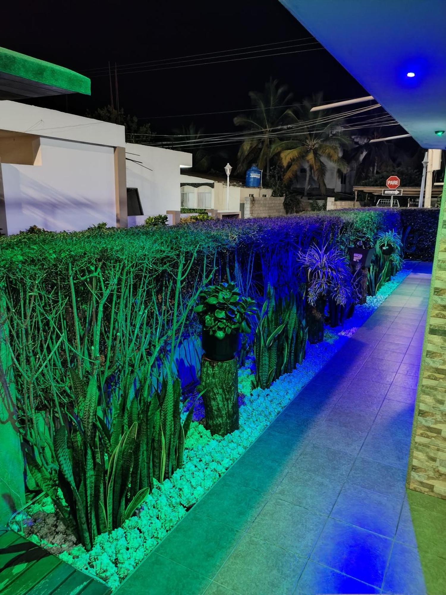 Hotel Starfish بْوُرتو فيلاميل المظهر الخارجي الصورة