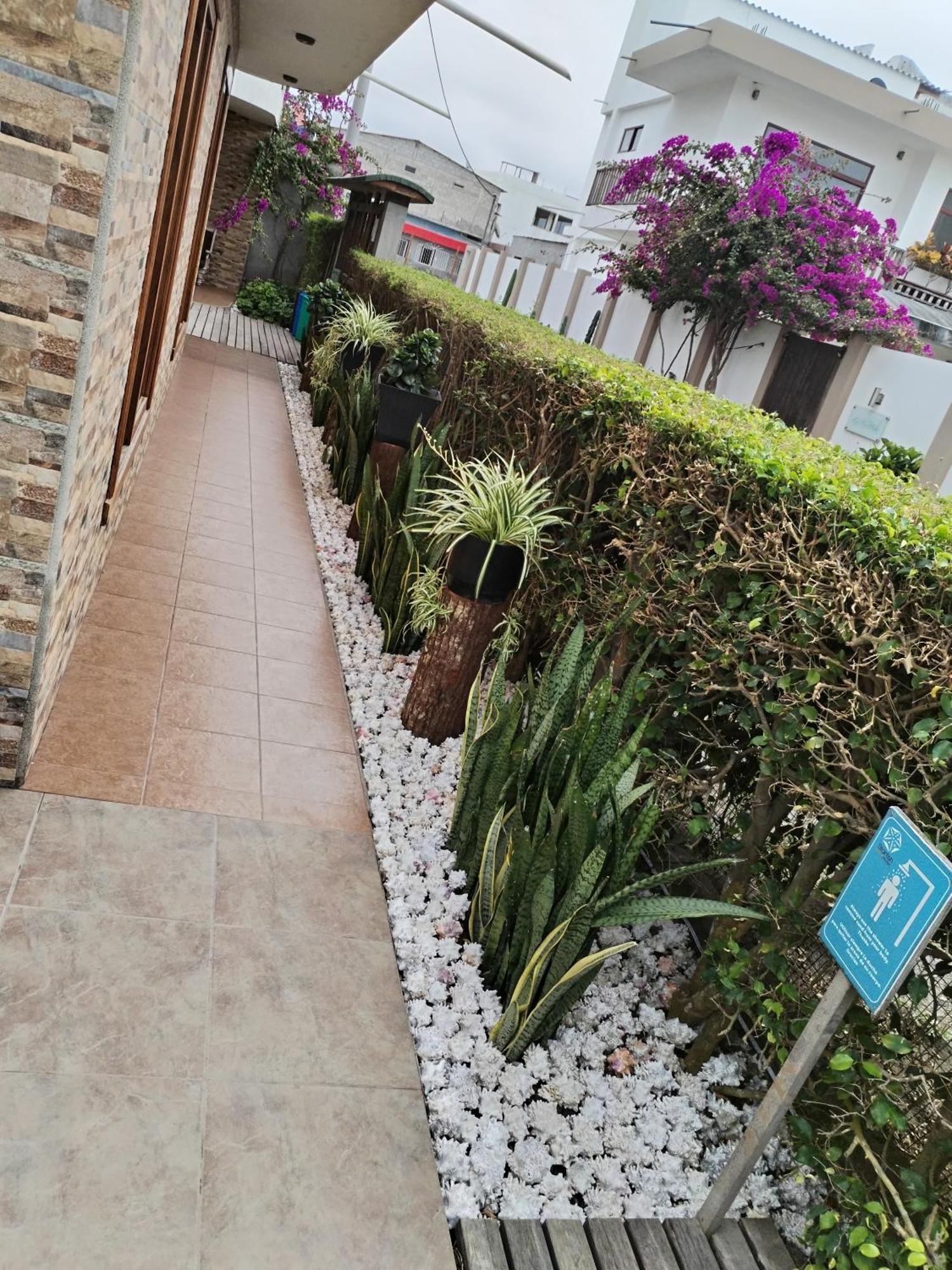 Hotel Starfish بْوُرتو فيلاميل المظهر الخارجي الصورة