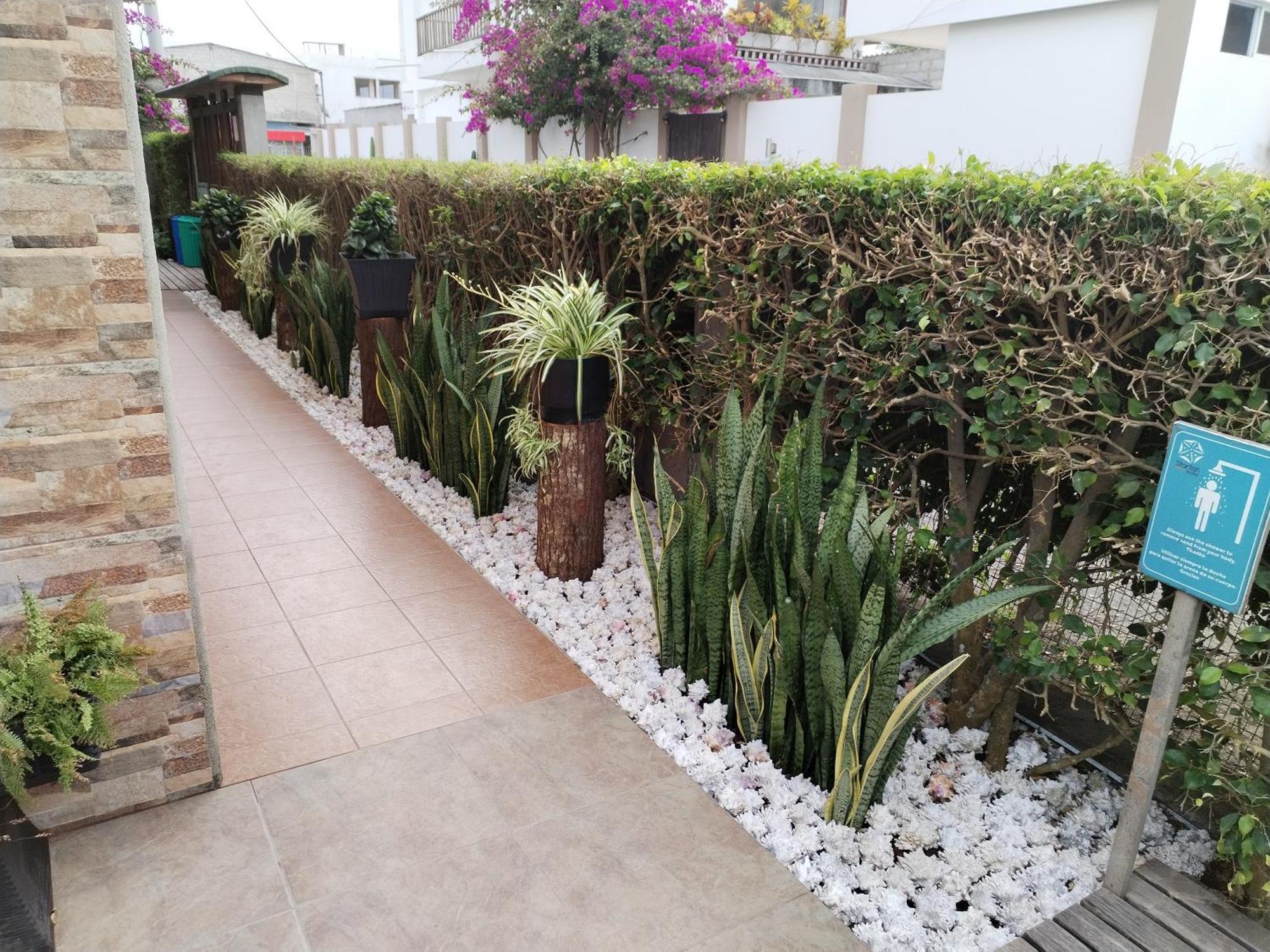 Hotel Starfish بْوُرتو فيلاميل المظهر الخارجي الصورة