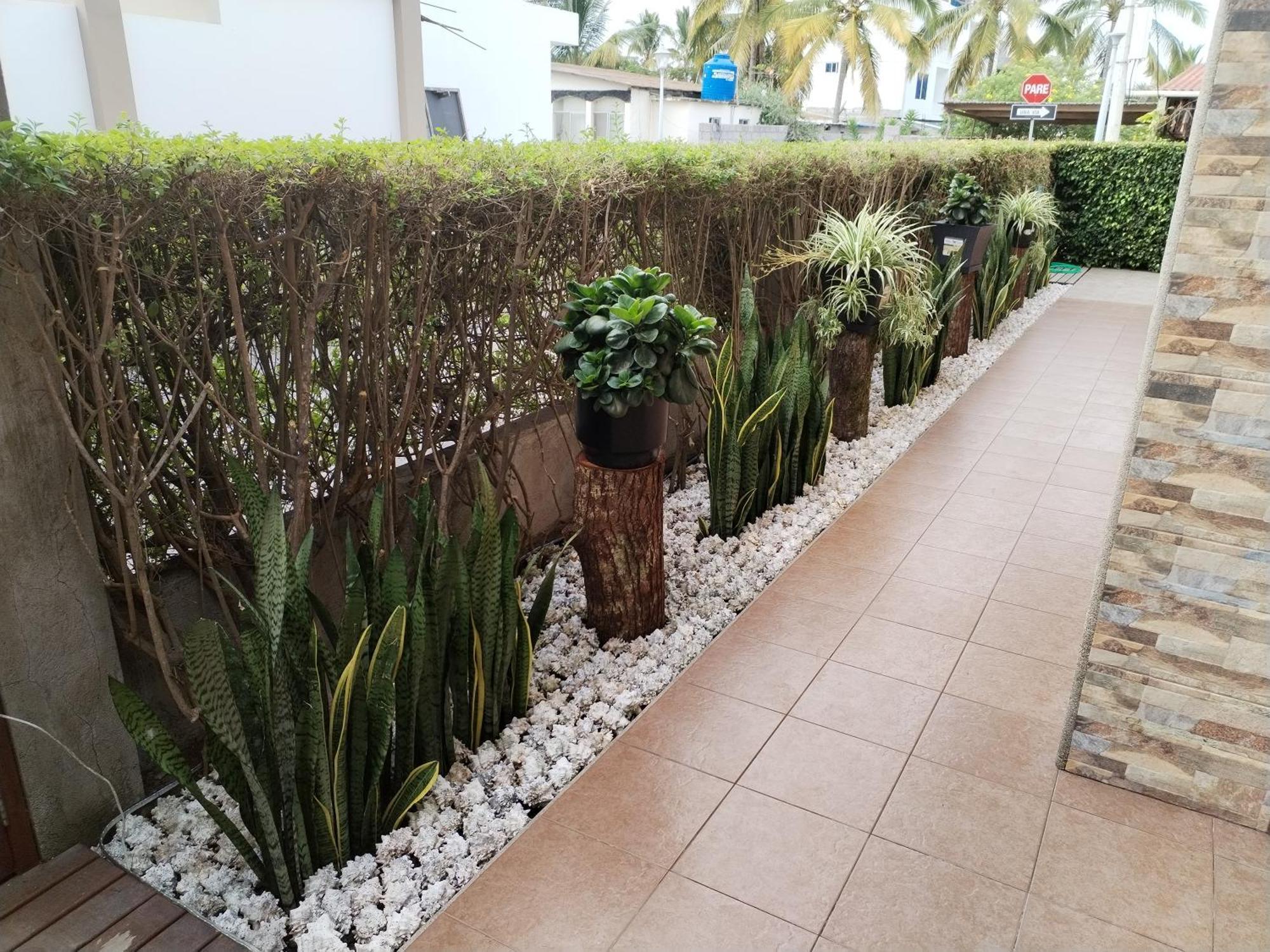 Hotel Starfish بْوُرتو فيلاميل المظهر الخارجي الصورة