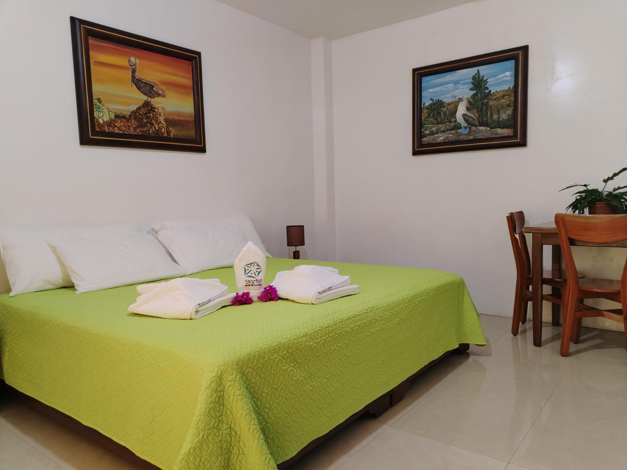 Hotel Starfish بْوُرتو فيلاميل المظهر الخارجي الصورة
